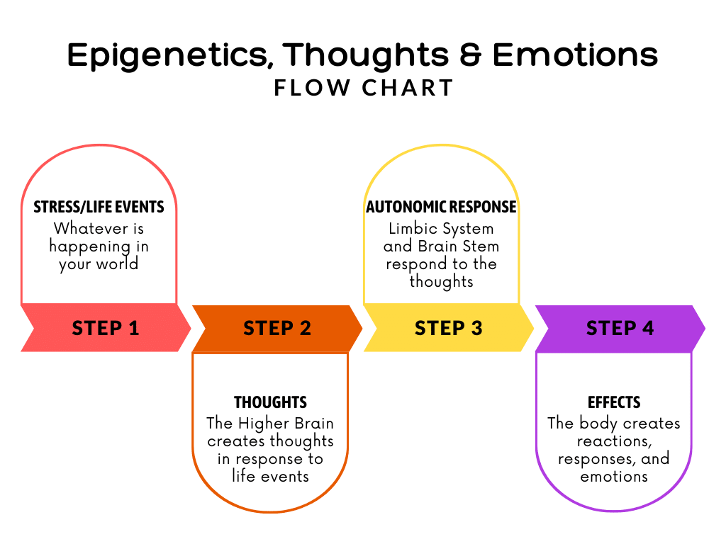 Epigenetics, Thoughts and Emotions